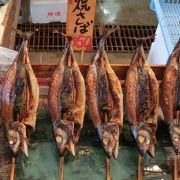 小浜に行くと、必ずここで魚を買います！