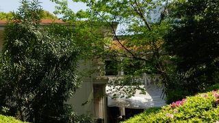 シンガポールランチ