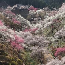 在りし日の風景