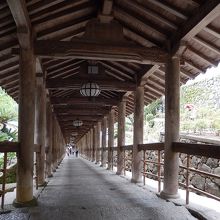 この登廊が素敵なんですよね