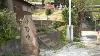 ハイキングコース