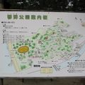 観音寺市民の憩いの場所になっています。桜も素晴らしかったです。