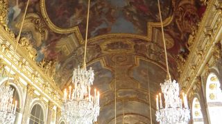 興味本位だともったいない