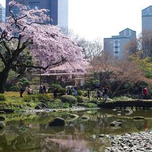 広がる庭園の向こうにビル。