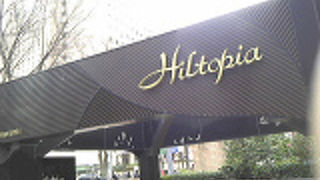 目の保養にはなる