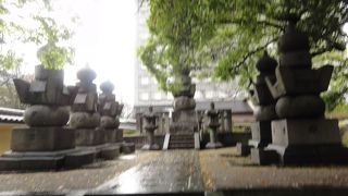 日本最大の木製座像大仏