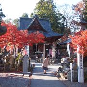 裏山の紅葉が見事　四萬部寺