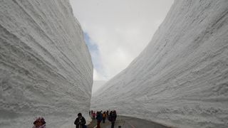 １９ｍの雪の壁は圧巻