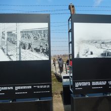 写真が展示されています