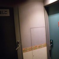 部屋の扉は近緑柱石色（青みが強いですが)です