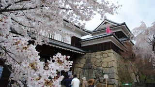 桜と上田城の櫓と堀 見事なコントラストです。 夜桜もGOOD！