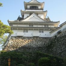 天守閣です。詰門あたりからの姿です。