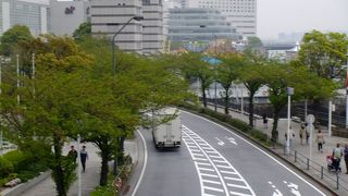 さくらは終わってしまいました