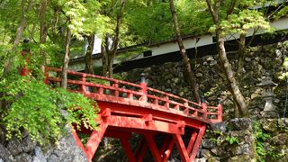 ミイラのあるお寺「横蔵寺」