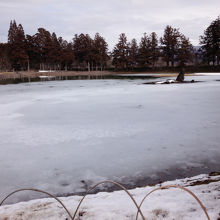 庭園の池