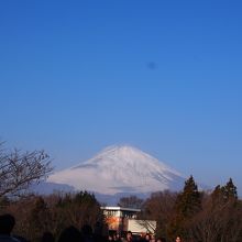 元旦から富士山が近くに見えて、気分爽快でした。