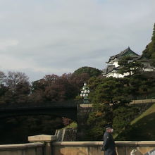 二重橋の奥に、緑に囲まれた白亜の城郭が見えます。