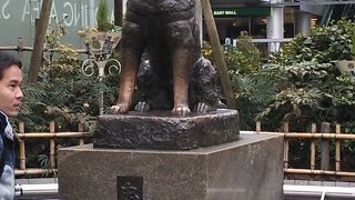 ここはとても人気スポット