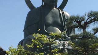 初めて見物しました。