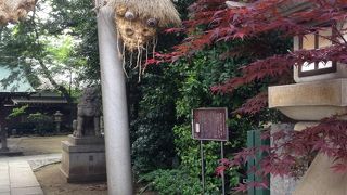 龍神さまの鳥居を見て！