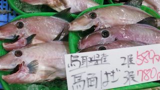 新鮮なお魚