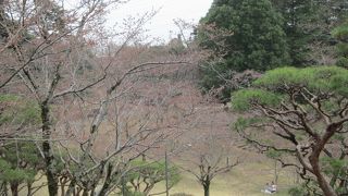 宇都宮市の桜の名所