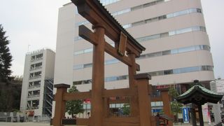 下野国一宮。歴史があります。