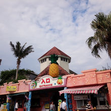 パイナップルパーク入り口