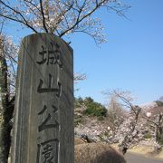 小山で桜をみるならこの辺り