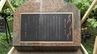 この碑を見てもっと大切にしたら と感じました