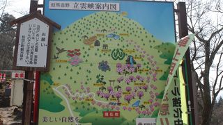 竹田城址が望めます