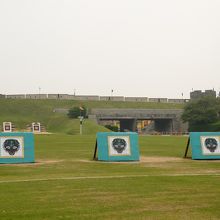 こちらの的を狙います。動物の模様で円じゃないです。