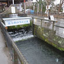 湧池近くの湧水場。自由にお水を汲むことができます。