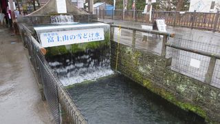 全国名水百選の富士の湧水