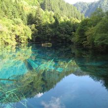 山の緑といい湖の緑といい、素晴らしい