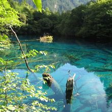 九寨溝で最も美しいかもしれない