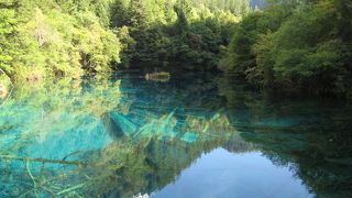 素晴らしい景色が広がる。山の木々も美しい