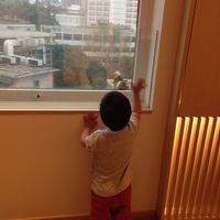 お部屋の窓の外にとまった鳥＆娘