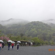 雨に