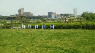 江戸川沿いにあります