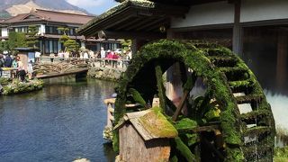 外国人観光客多し