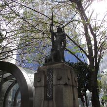 良く観ると力強さが伝わって来る気がします 