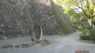 高知城がある場所が公園なのです。