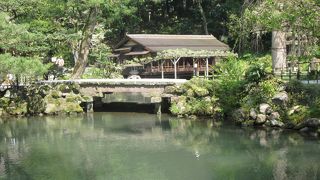 久しぶりの兼六園