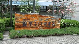 世界の児童向け、子供の本があります