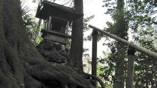 三宝寺池の北側にあります