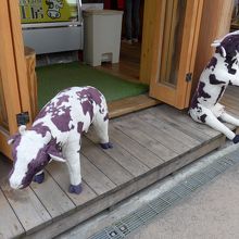 入り口に可愛い牛さんが待っているお店