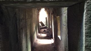 溢れ出す生命力、２箇所ある出入口に注意