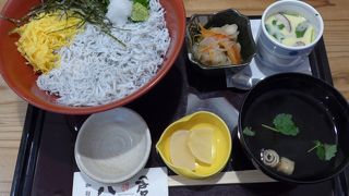 鎌倉へのスタートが遅くて生しらす丼は売り切れていました　釜揚げしらす丼を美味しく頂きました
