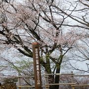 養沢からだと階段ばかり